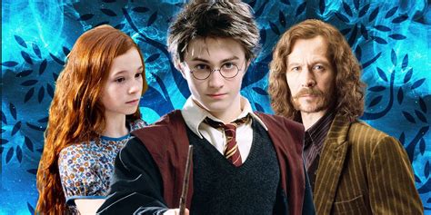 The Life of Lily & James Potter (Harry Potter Explained).